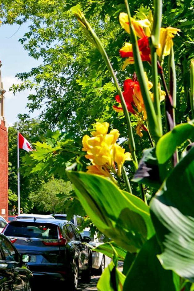 Old Town Niagara-on-the-Lake